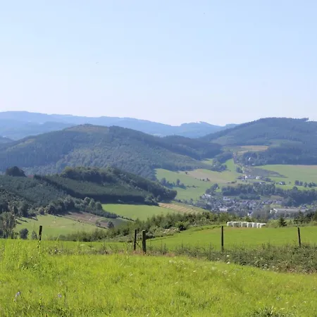 公寓 Haus Bergeshoeh Hochsauerland 埃斯洛黑