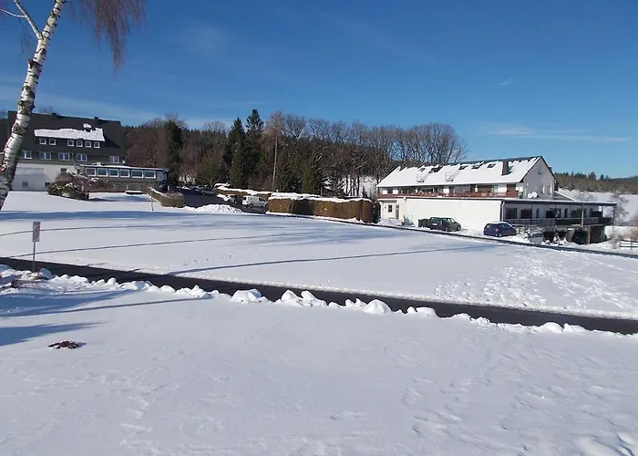 公寓 Haus Bergeshoeh Hochsauerland 埃斯洛黑